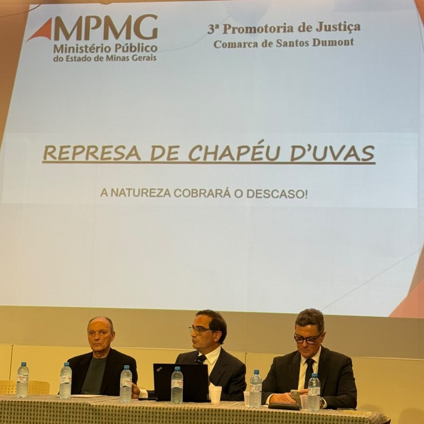 Chapeu-duvas-coletiva.jpeg