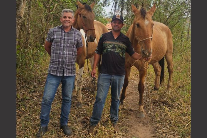 noticia _3_ - adocao cavalos tiradentes.jpg