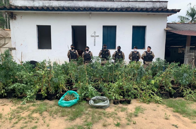 Uba - operacao Nematoide 3.png