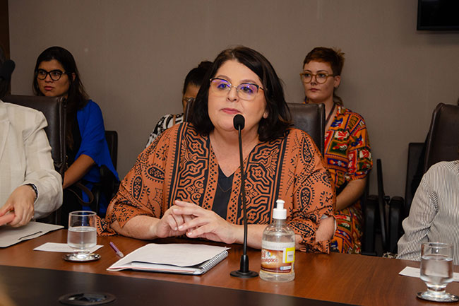 reuniao_CAOVD_deputadas_NOTICIA_DSC_3230.jpg