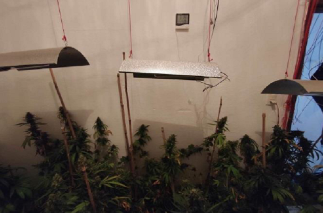 Uba - operacao Nematoide 2.png