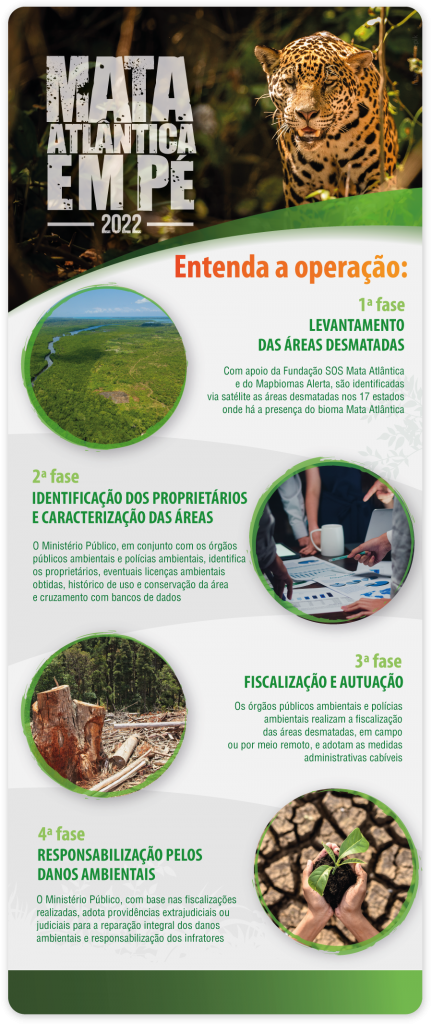infografico-2022--sem-logo.png