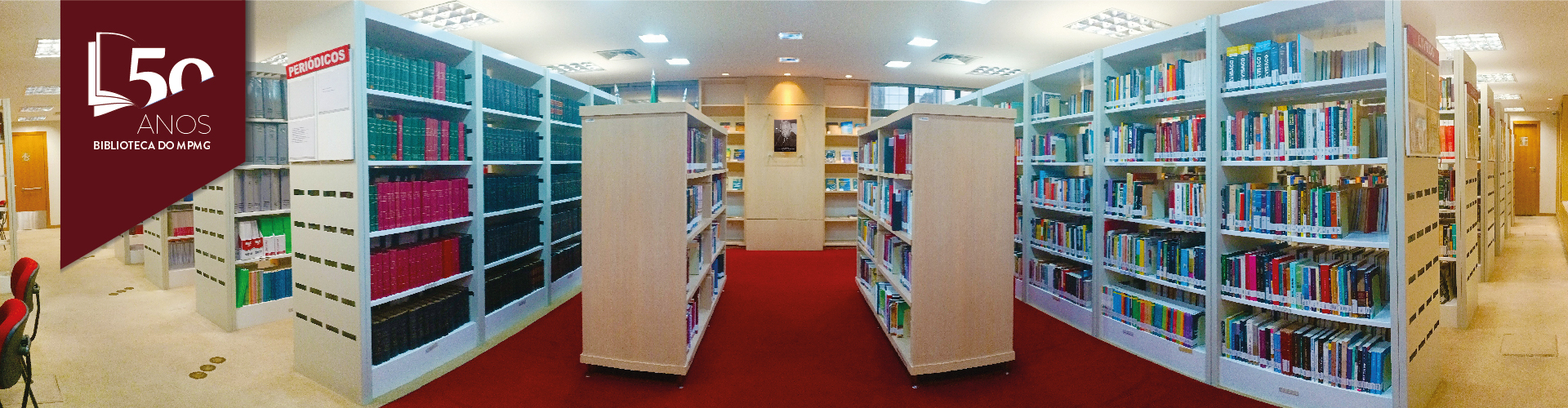 50 Anos Biblioteca Painel site