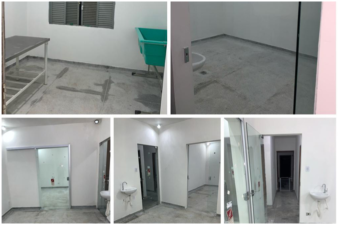 uberlandia - bem-estar annimal acp noticia4.jpg