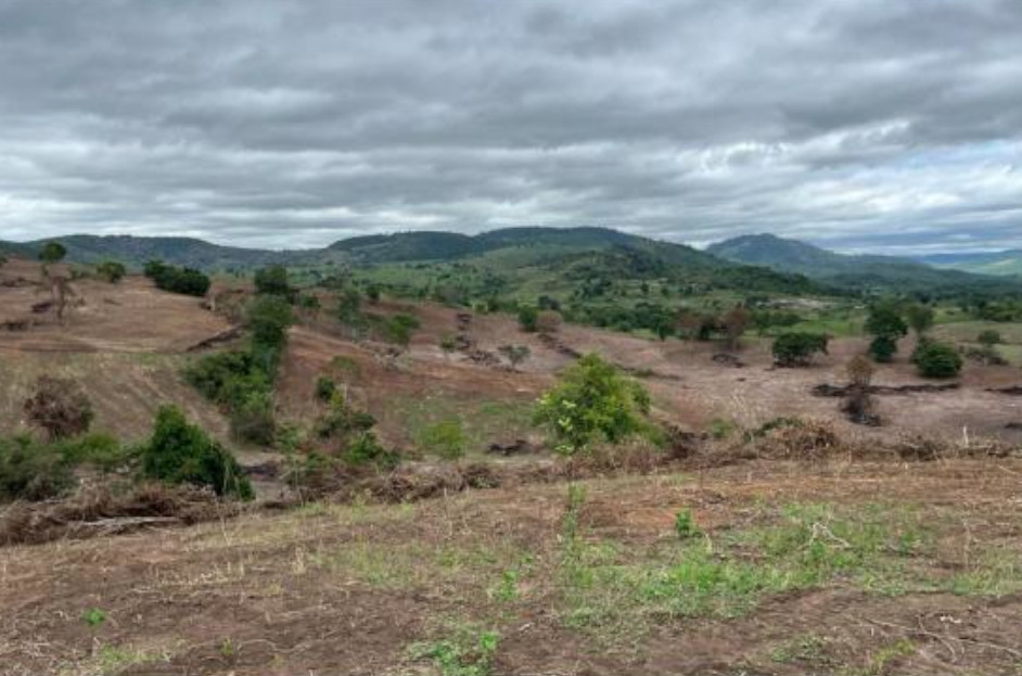 250207 Desmatamento Rubim-formatado.jpg