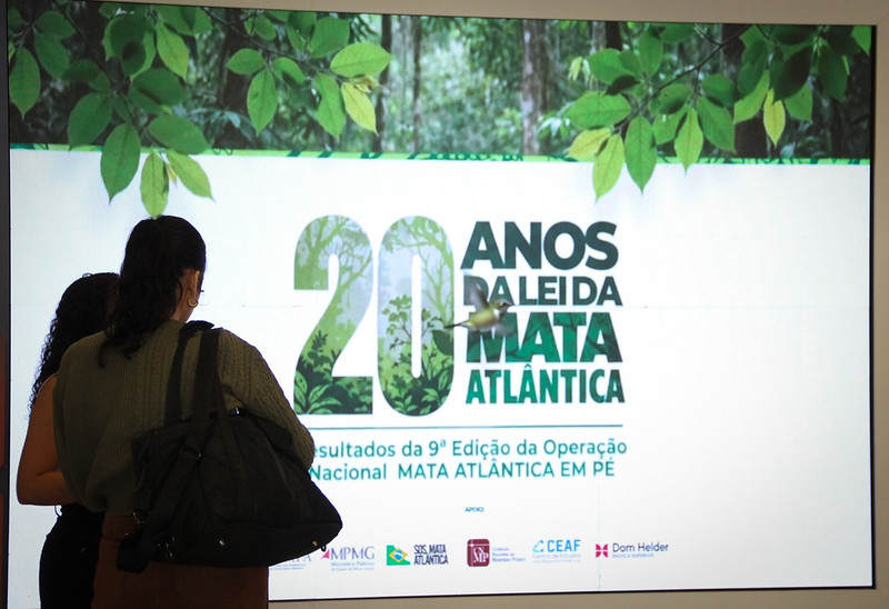 noticia 3 - mata atlantica em pe.jpg