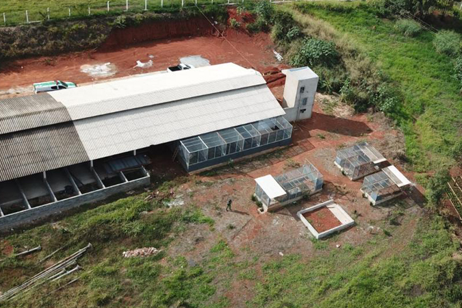 uberlandia - bem-estar annimal acp noticia6.jpg
