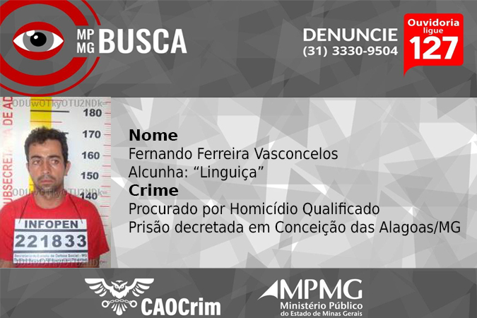 MPMG Busca Linguica destaque.jpg