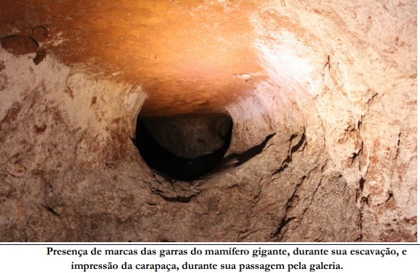 acao paleo.jpg