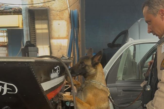 251007 Iturama Operacao Dissonancia-cachorro.jpg