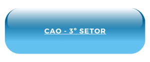 CAO - 3 SETOR.png