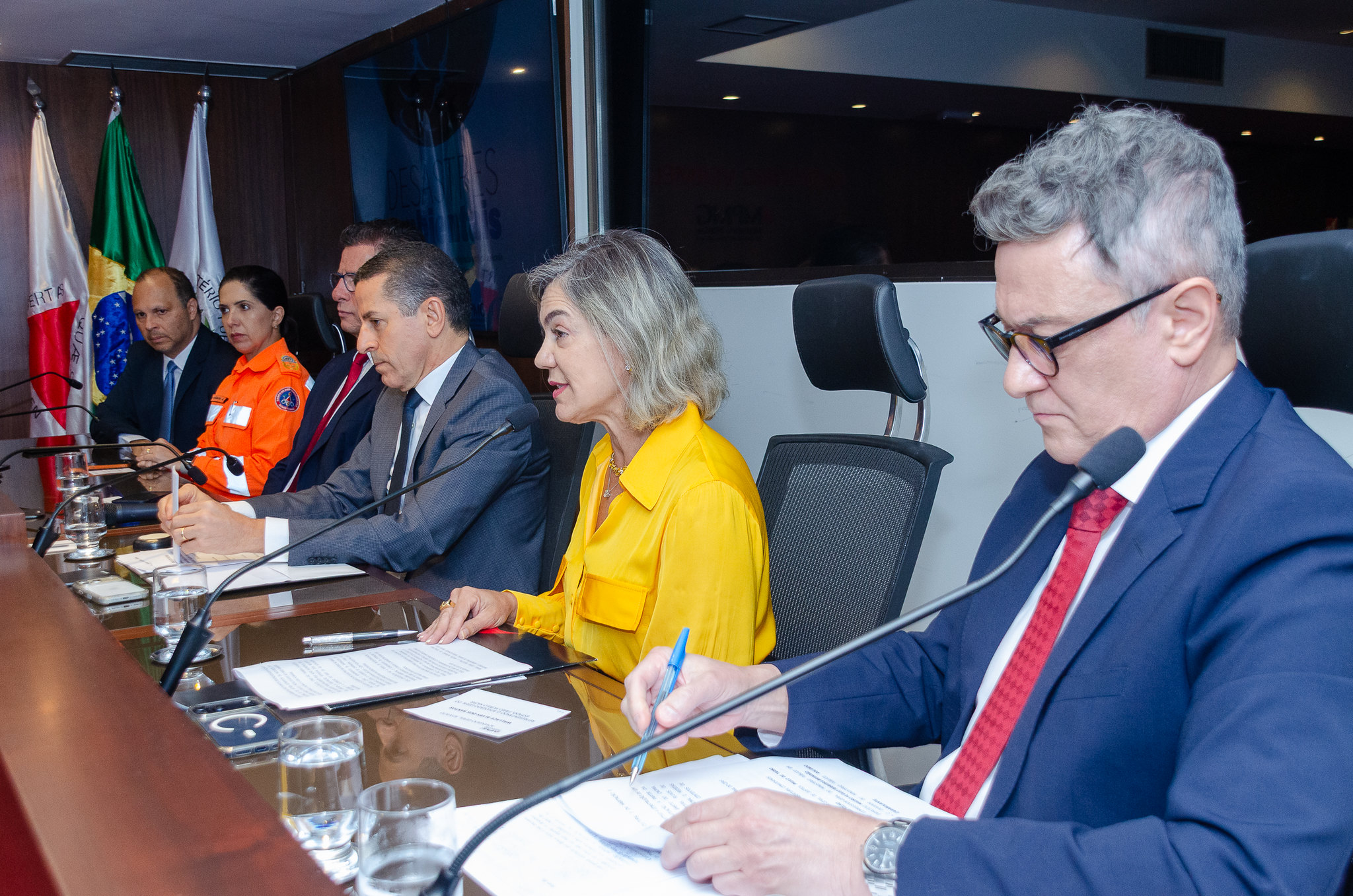 Seminario desastres ambientais e IA _6_.jpg
