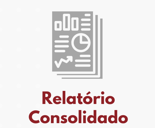 Relatório consolidado.png