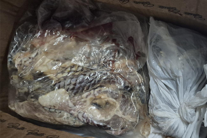 lanchonete Uberaba noticia3.jpg