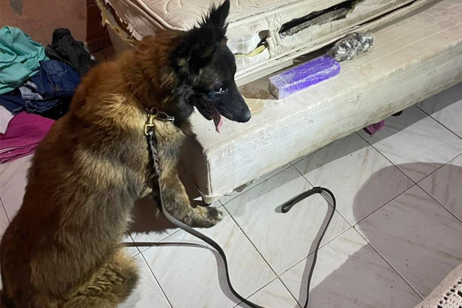 operacao CJK noticia1.jpg