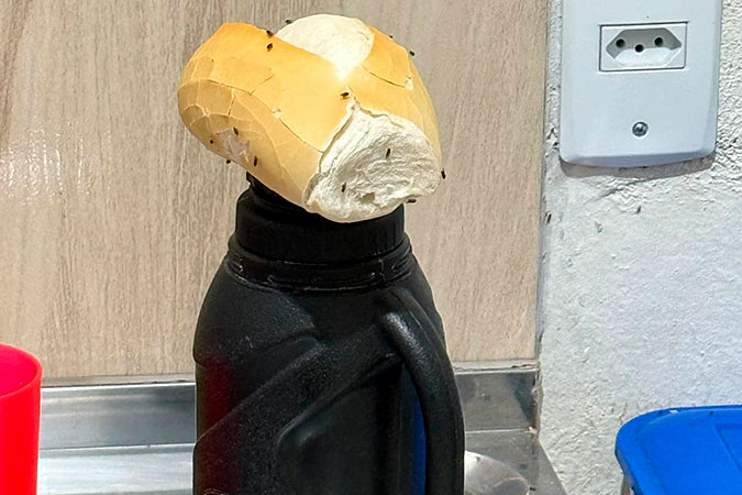 NOTICIA01_acolher com dignidade.jpg.jpeg