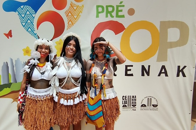 Foto Krenak COP 30 noticia 1.jpg